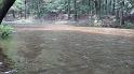 5-29 after 2 in of rain3